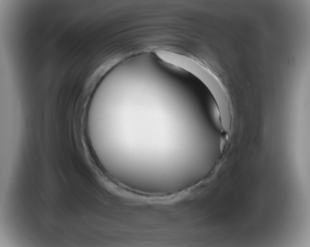 X0000084010001200703091937