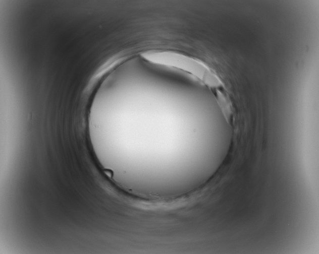 X0000084010005200703091936