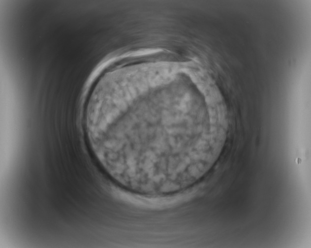 X0000084010006200703091936