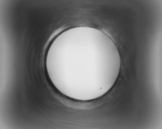 X0000084010008200703091936