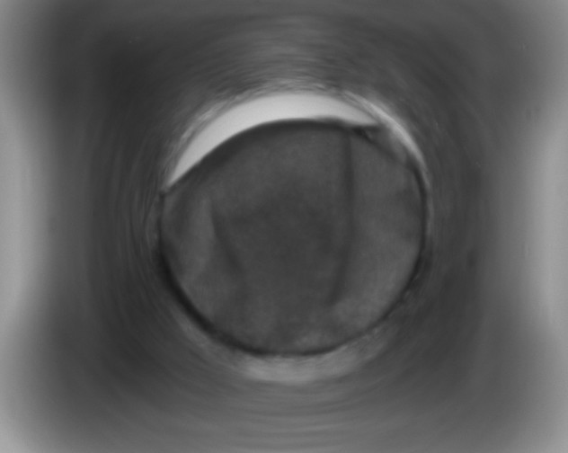 X0000084010009200703091936