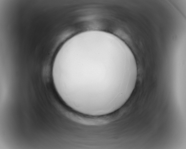 X0000084010012200703091936