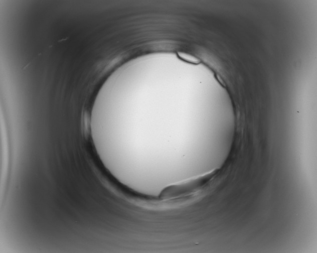 X0000084010013200703091936