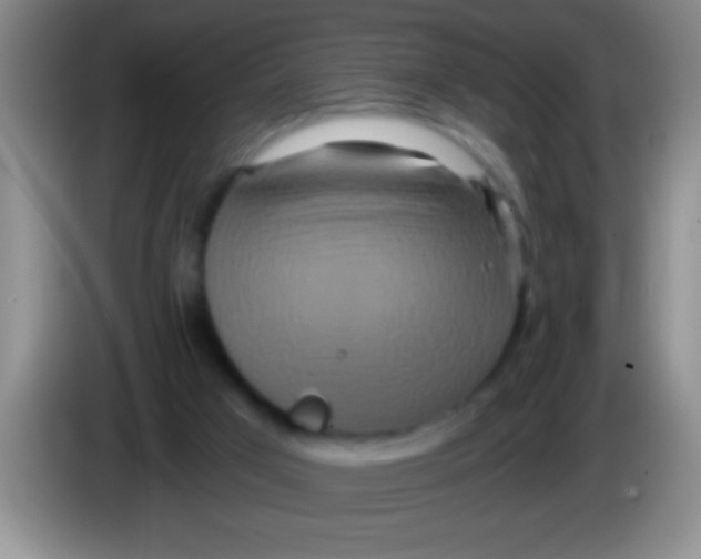 X0000084010017200703091936