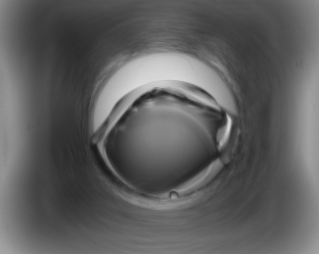 X0000084010019200703091936