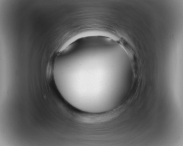 X0000084010021200703091936