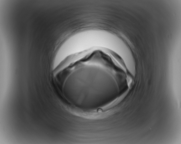 X0000084010023200703091936