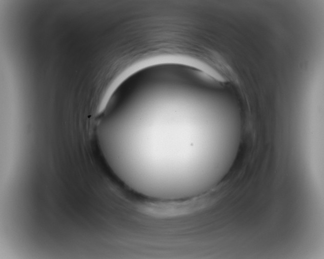 X0000084010025200703091936