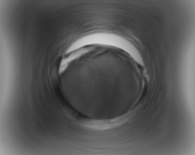 X0000084010029200703091936