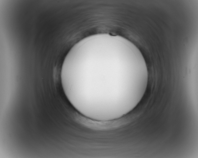 X0000084010038200703091936