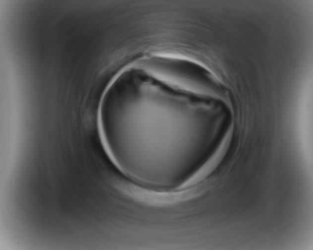 X0000084010039200703091936