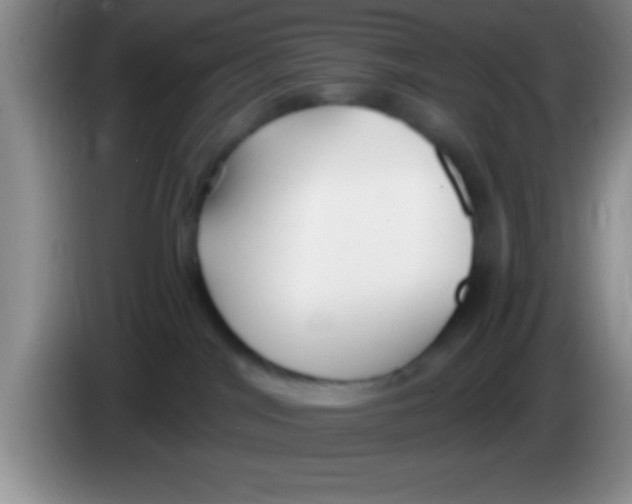 X0000084010044200703091936