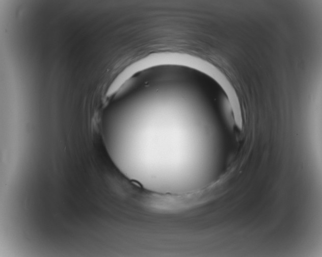 X0000084010045200703091936