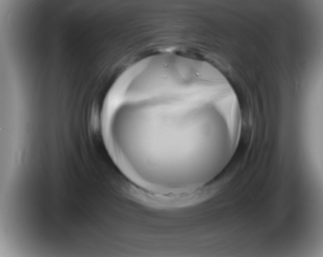 X0000084010046200703091936