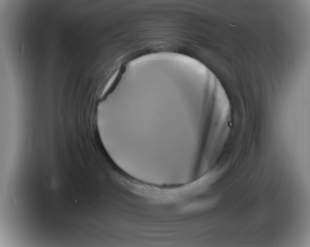 X0000084010048200703091936