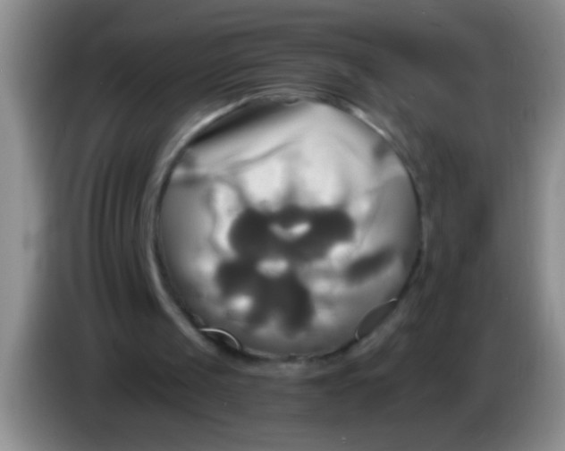 X0000084010049200703091935