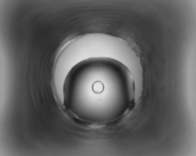 X0000084010051200703091935