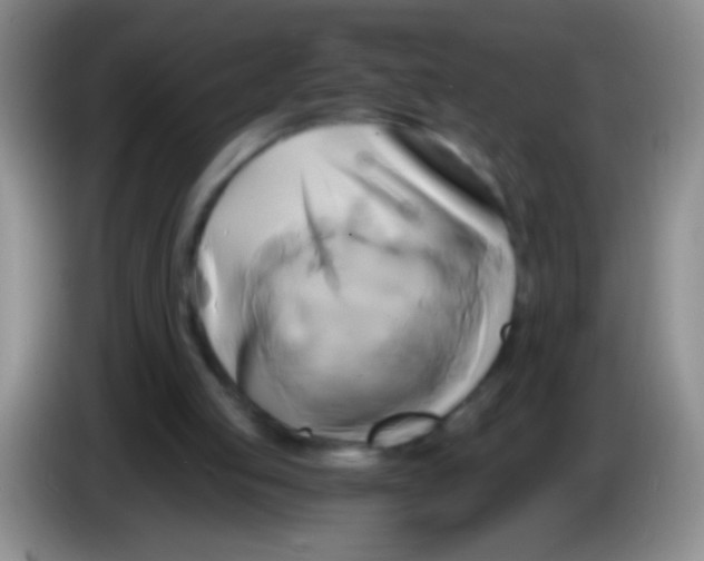 X0000084010053200703091935