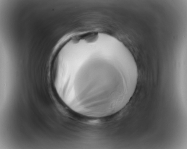 X0000084010054200703091935