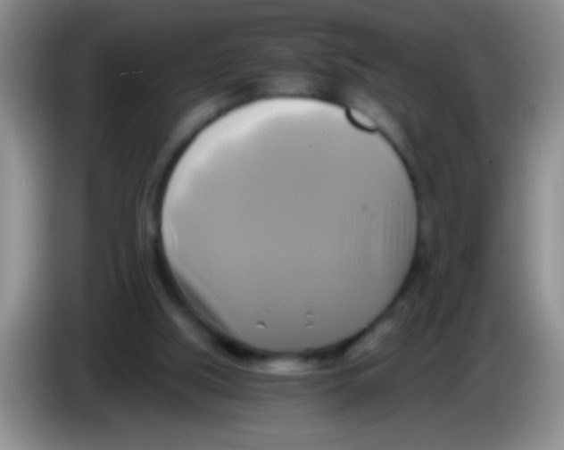 X0000084010059200703091935