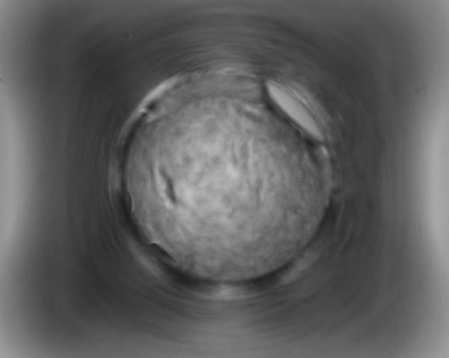 X0000084010060200703091935