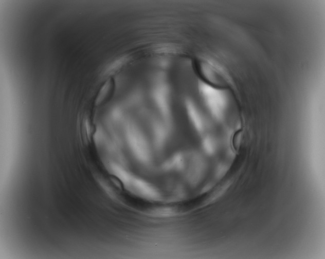 X0000084010061200703091935