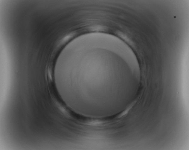 X0000084010062200703091935