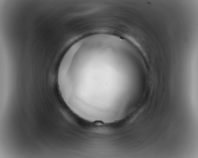 X0000084010063200703091935