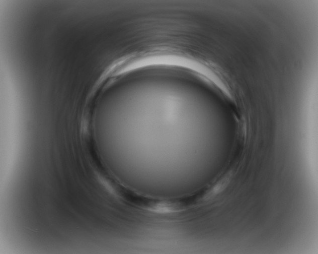 X0000084010064200703091935