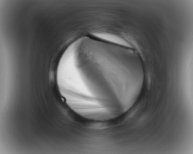 X0000084010067200703091935