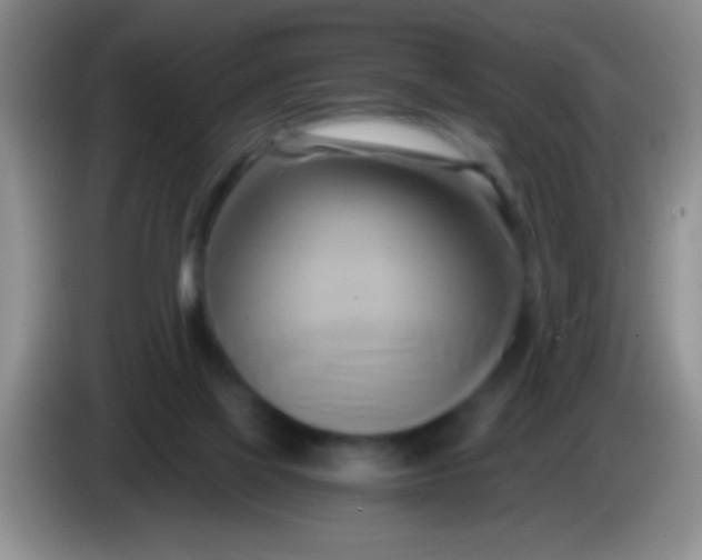 X0000084010069200703091936