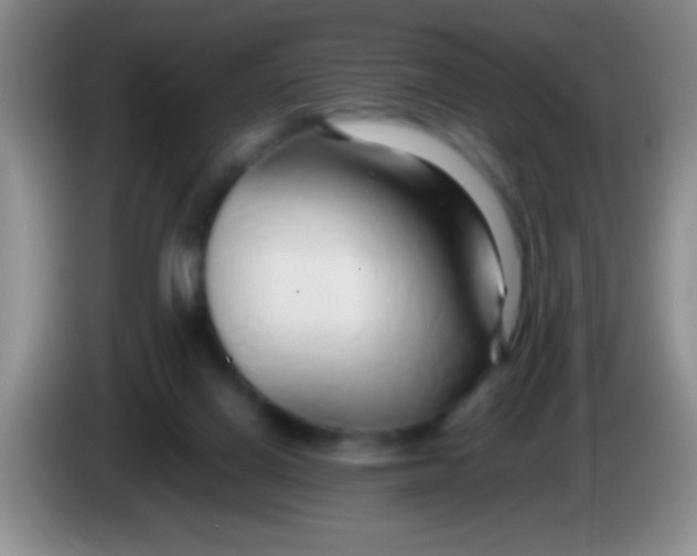 X0000084010070200703091936