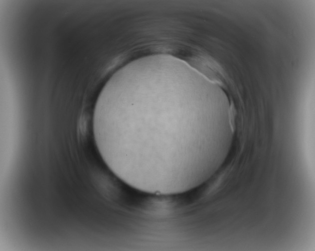 X0000084010071200703091936