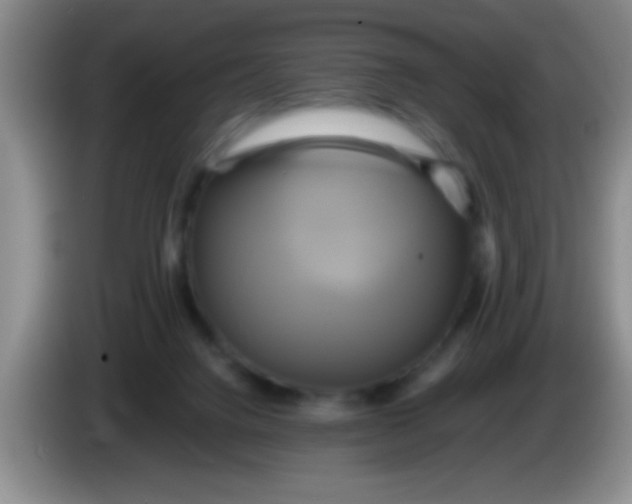 X0000084010072200703091936