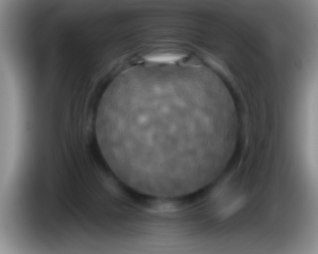 X0000084010073200703091936