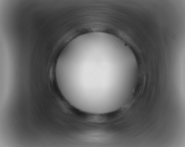 X0000084010074200703091936