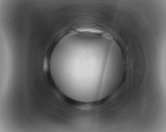 X0000084010075200703091936