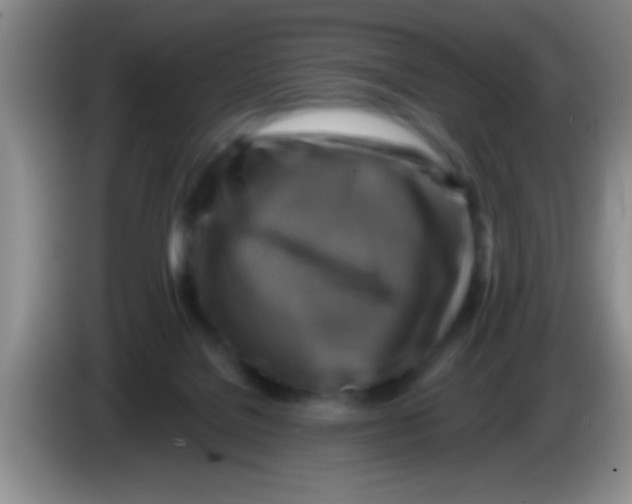 X0000084010076200703091936