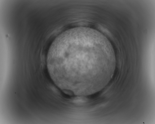 X0000084010077200703091936