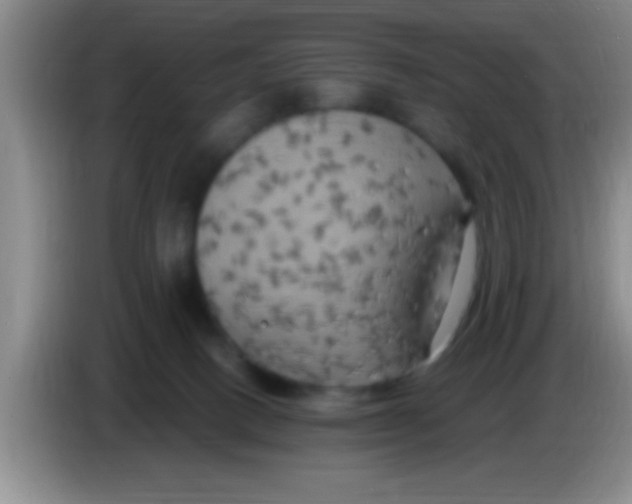 X0000084010082200703091936