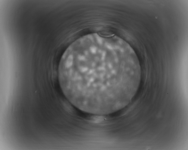 X0000084010085200703091936