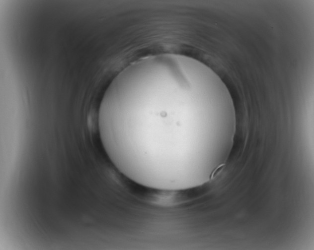 X0000084010090200703091936