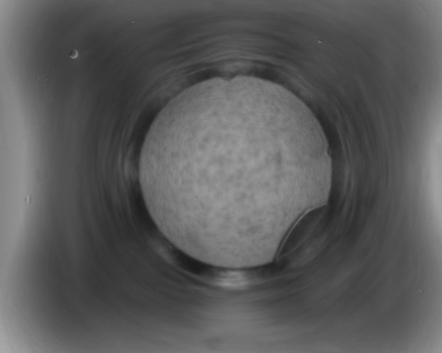 X0000084010091200703091936