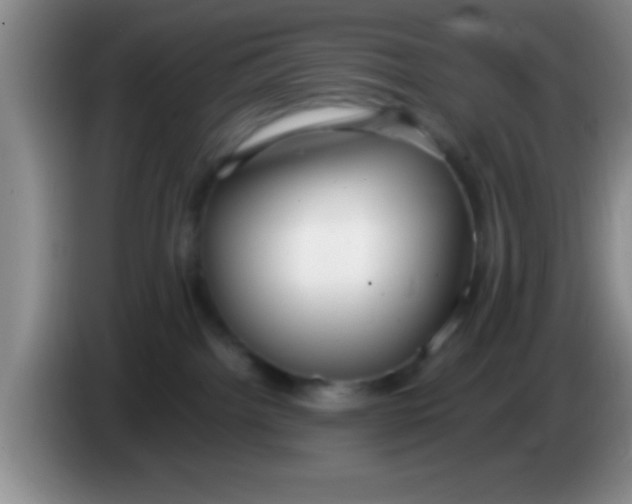 X0000084010092200703091936