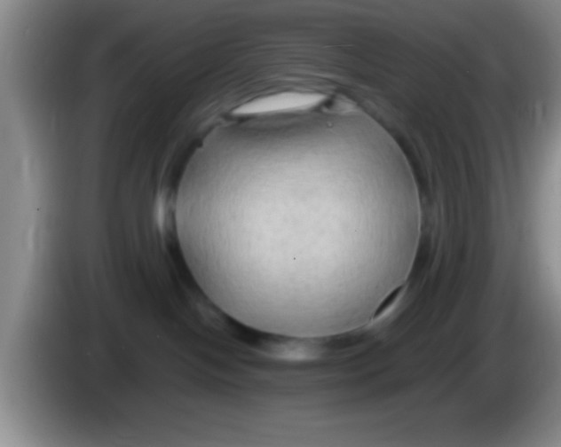 X0000084010094200703091936