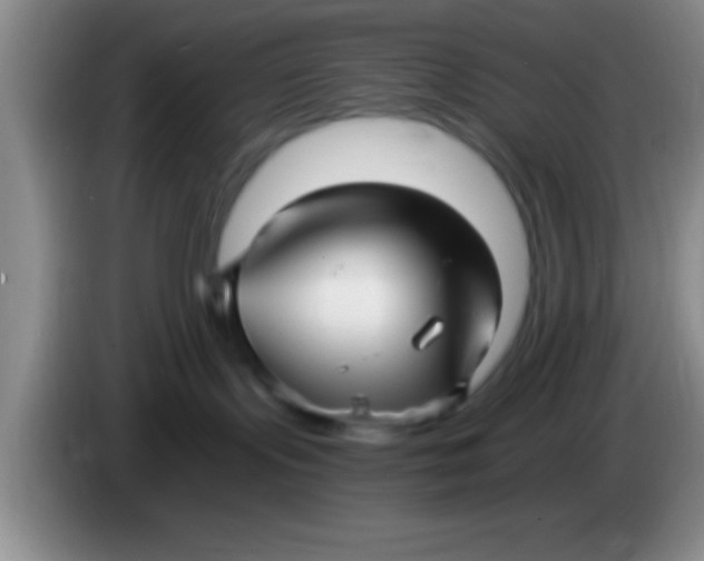 X0000084010095200703091936