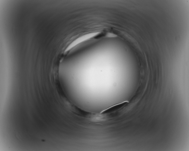 X0000084010096200703091936