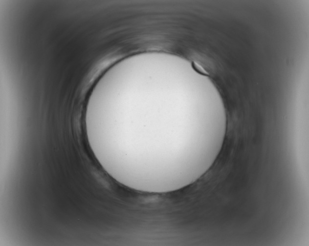 X0000084010098200703091935