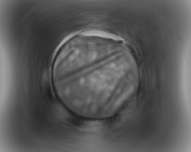 X0000084010100200703091935