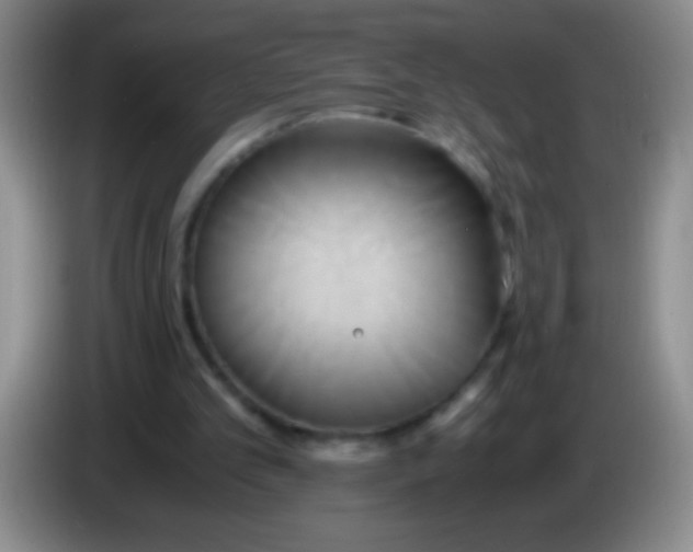 X0000084010101200703091935